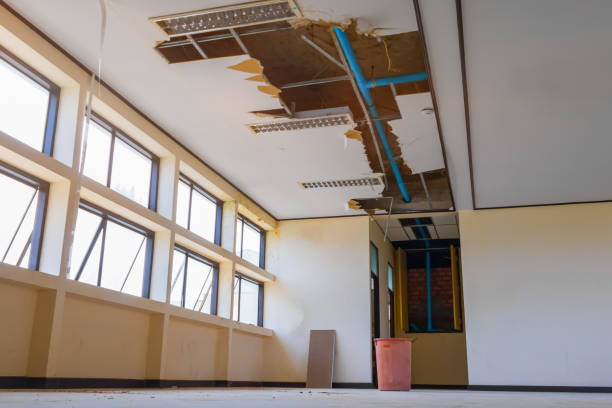 Best Water damage restoration near me  in Blanco, TX
