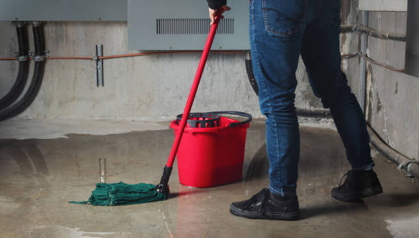Best Water damage restoration company  in Blanco, TX