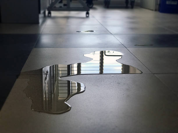 Best Professional water damage repair  in Blanco, TX
