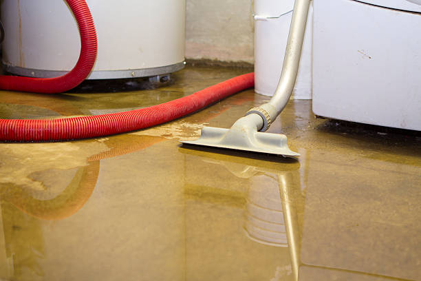  Blanco, TX Water damage restoration Pros