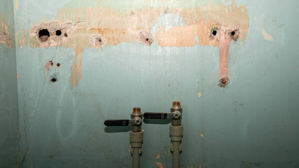 Best Sewage cleanup and water damage restoration  in Blanco, TX