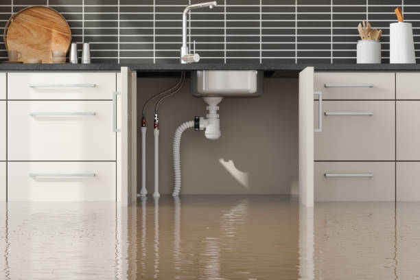 Best Professional water damage repair  in Blanco, TX
