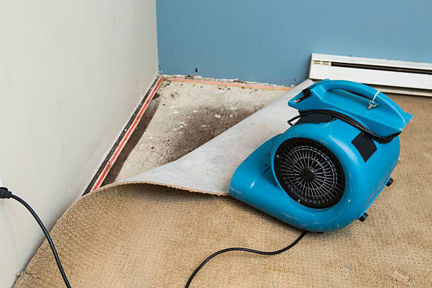Best Emergency water damage restoration  in Blanco, TX
